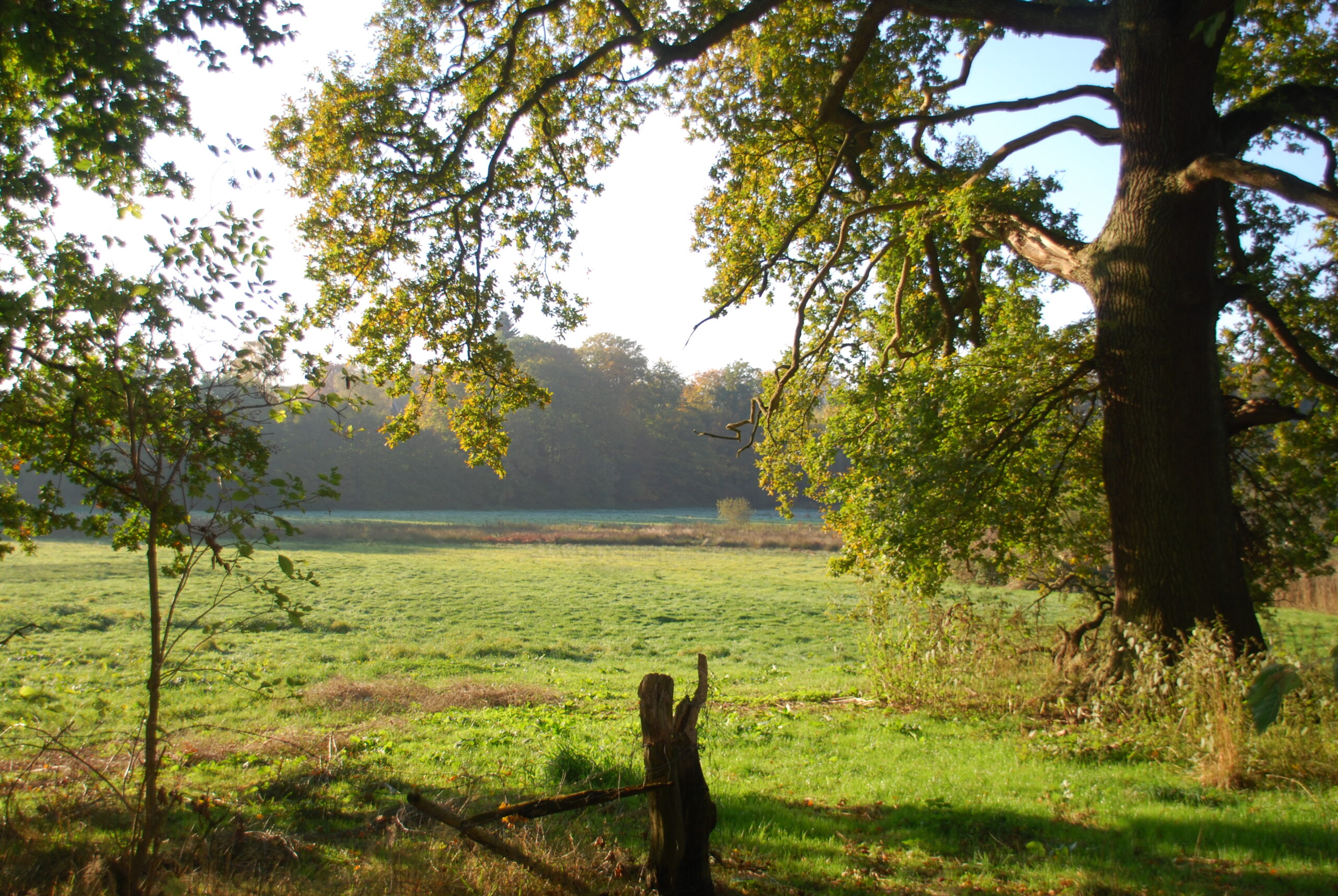 teichwiesen